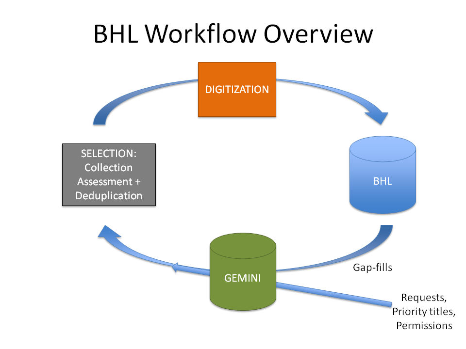 BHLworkflow.PNG